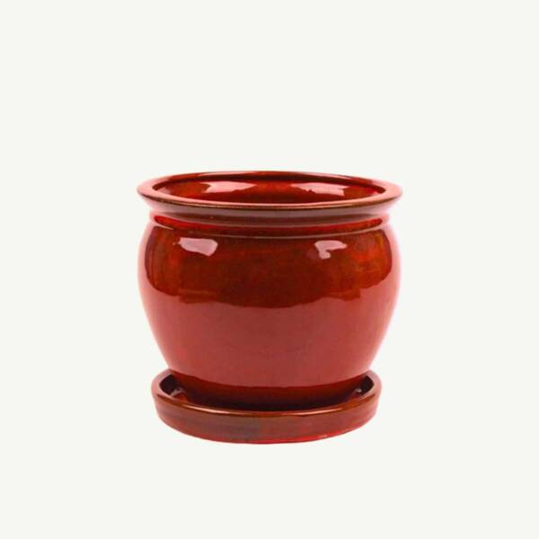 Red Pot