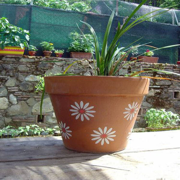 Terrra Cota Pot