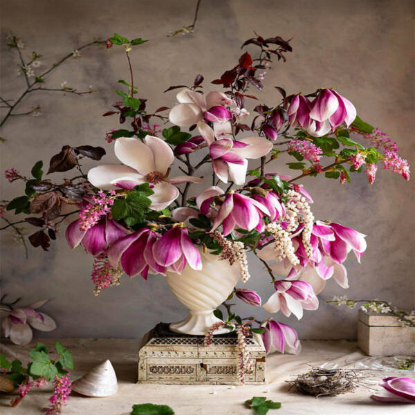 Magnolia