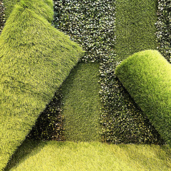 Mexican Grass